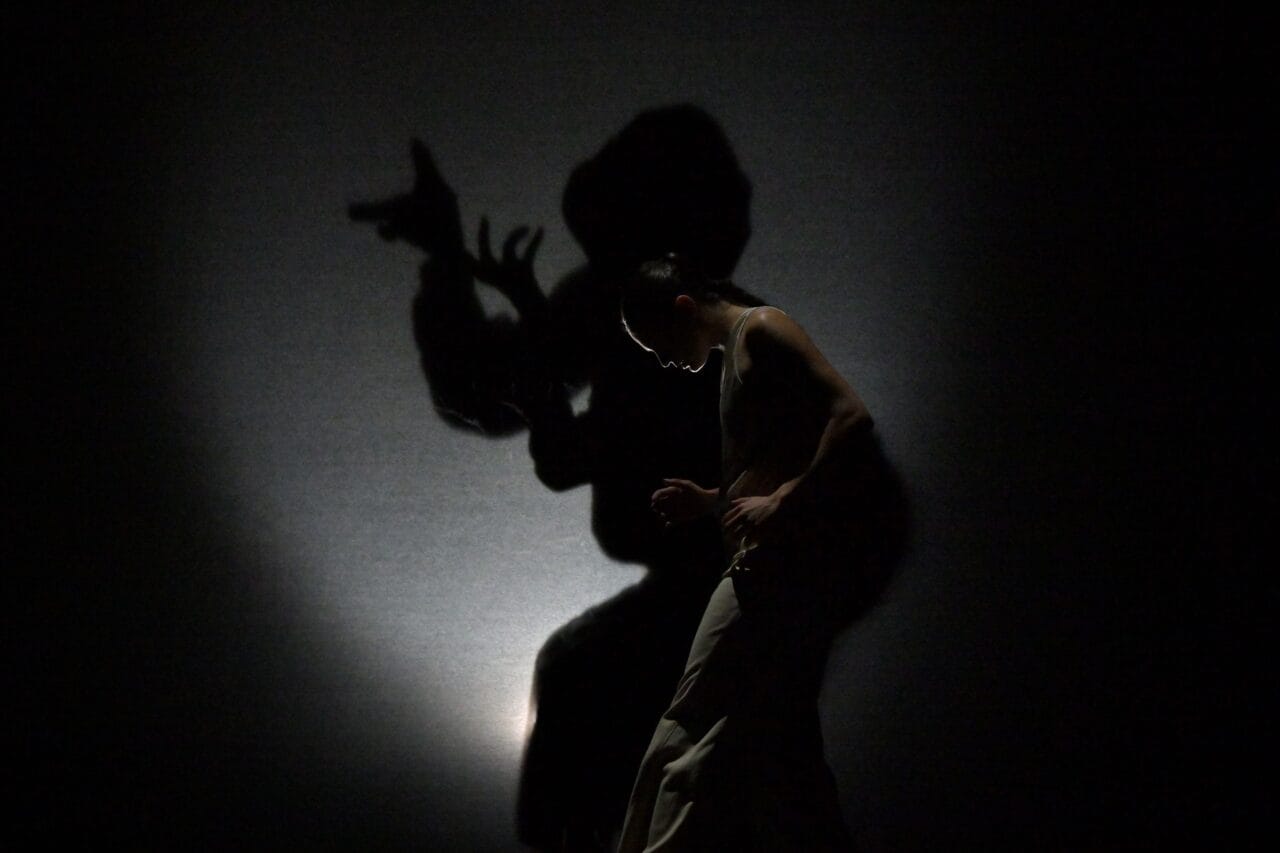A person stands in dim light casting an exaggerated shadow on the wall behind them, with dramatic hand gestures visible in the shadow.