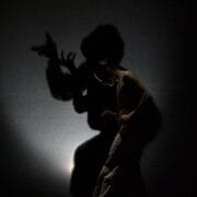 A person stands in dim light casting an exaggerated shadow on the wall behind them, with dramatic hand gestures visible in the shadow.