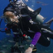 A scuba diver in full gear swims underwater among small fish, with blue ocean water in the background—a scene reminiscent of the Ocean Film Festival’s breathtaking underwater adventures.