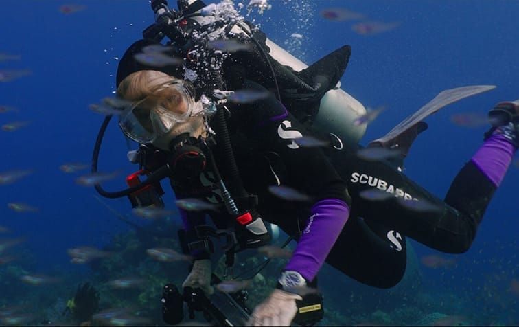 A scuba diver in full gear swims underwater among small fish, with blue ocean water in the background—a scene reminiscent of the Ocean Film Festival’s breathtaking underwater adventures.