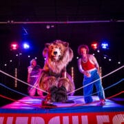 A large bear costume character and two performers stand in a brightly lit wrestling ring with “Hercules” on the apron, surrounded by stage lights.