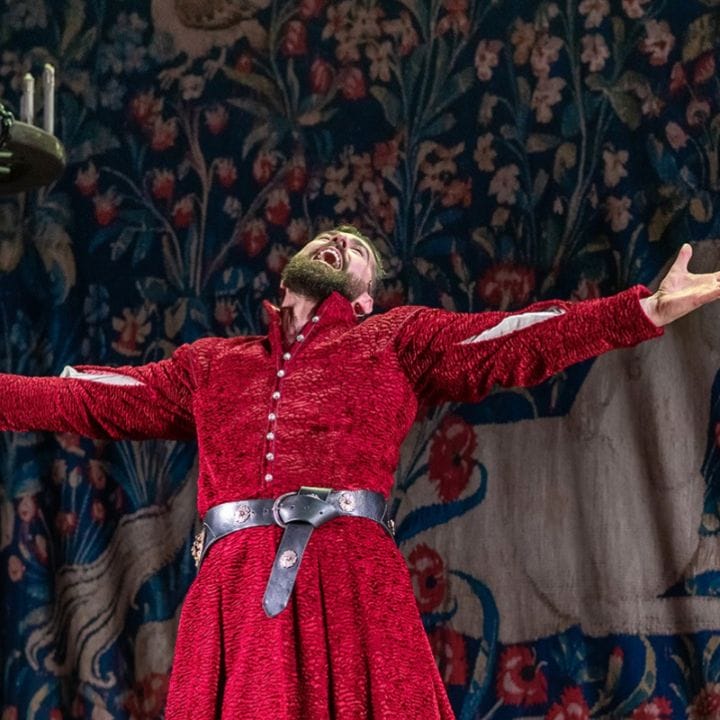A person in a red medieval costume stands with arms outstretched on stage in front of a tapestry depicting a unicorn.