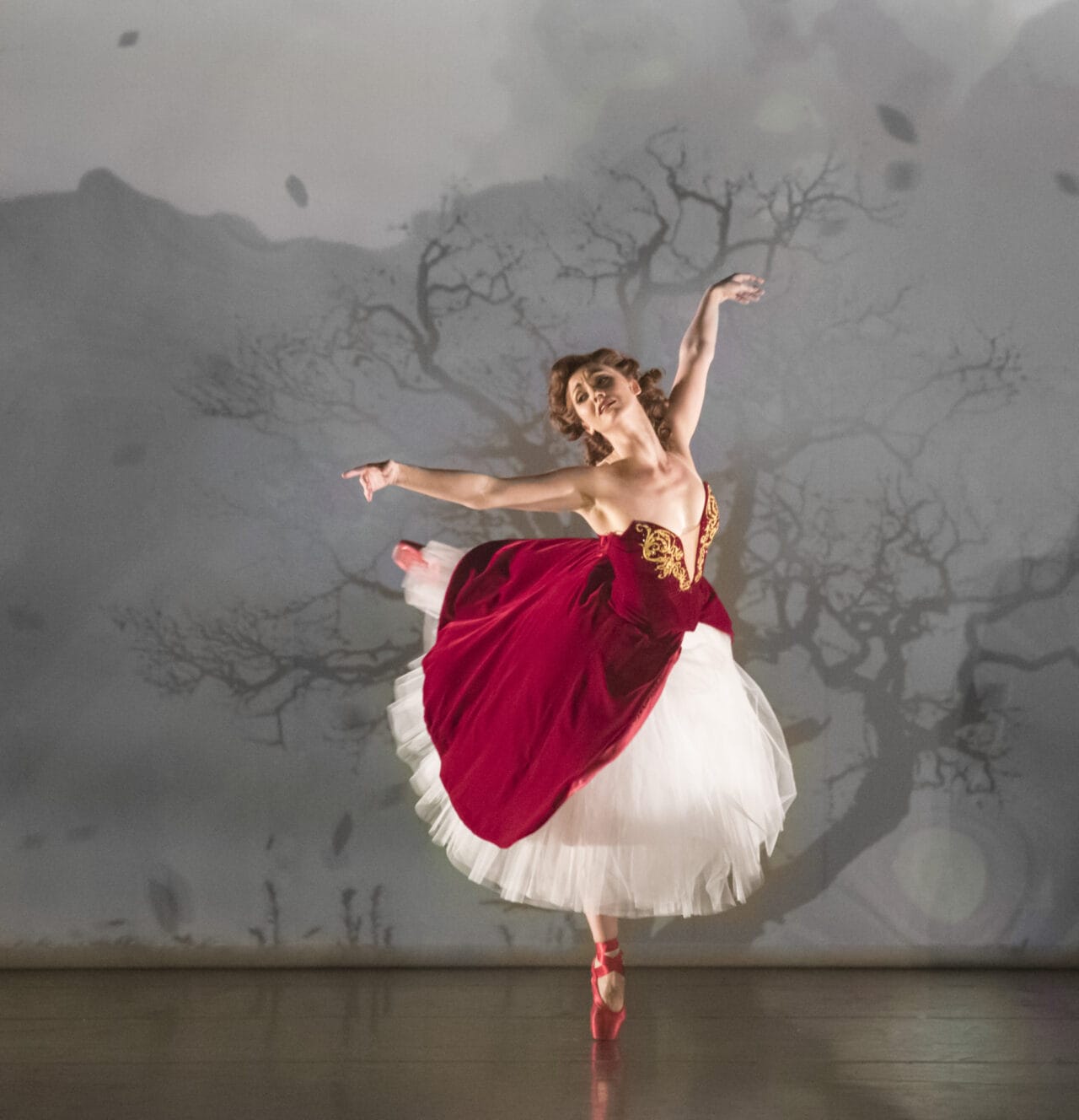 Ballet dancer in a red and white costume performs a pose on stage, with a backdrop featuring tree branches and shadows.