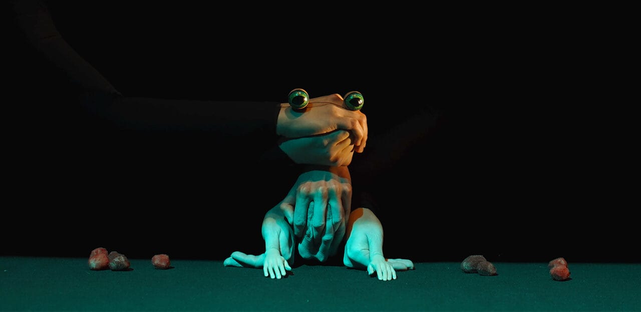 A stylized frog with human-like hands sits on a green surface surrounded by small rocks, against a black background. A gloved hand appears to hold the frog’s head.