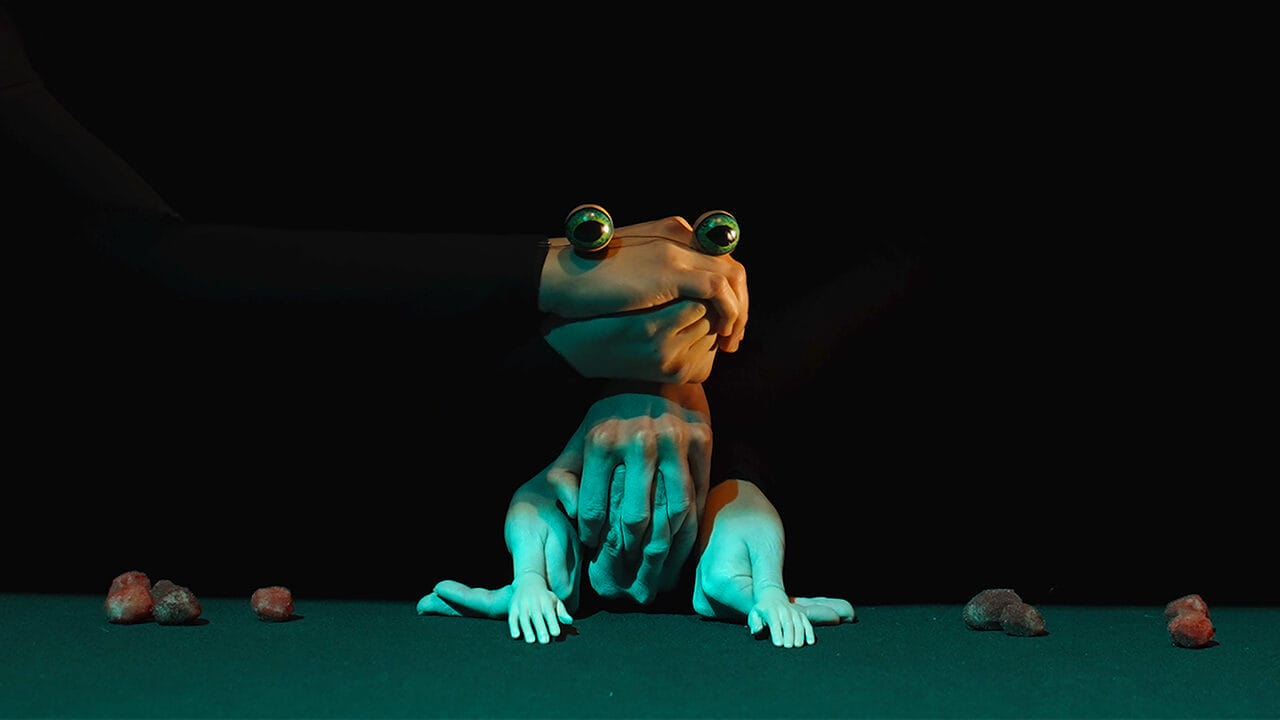 A stylized frog with human-like hands sits on a green surface surrounded by small rocks, against a black background. A gloved hand appears to hold the frog’s head.