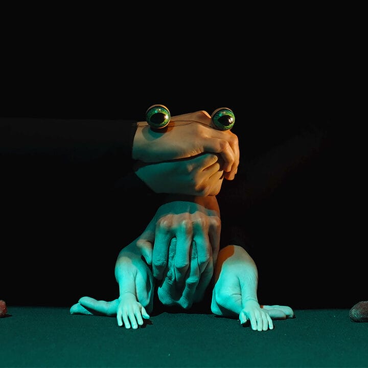 A stylized frog with human-like hands sits on a green surface surrounded by small rocks, against a black background. A gloved hand appears to hold the frog’s head.