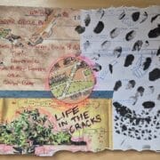 collage