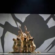 A group of dancers in beige costumes pose with raised arms, casting a large spider-like shadow on a white wall behind them—an image reminiscent of Mary, Queen of Scots' dramatic legacy.