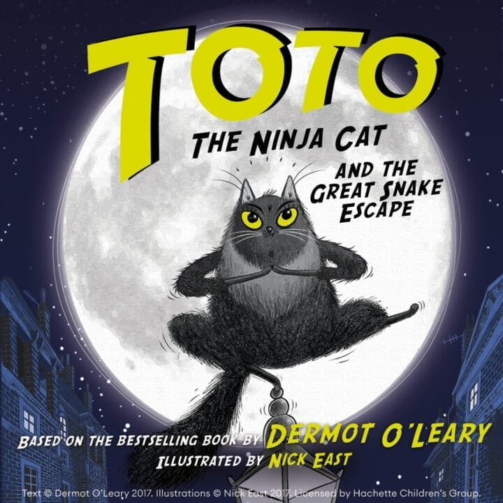 Book cover for "Toto the Ninja Cat and the Great Snake Escape," featuring Toto the ninja cat in a classic pose, sitting cross-legged in front of a glowing full moon above city rooftops.