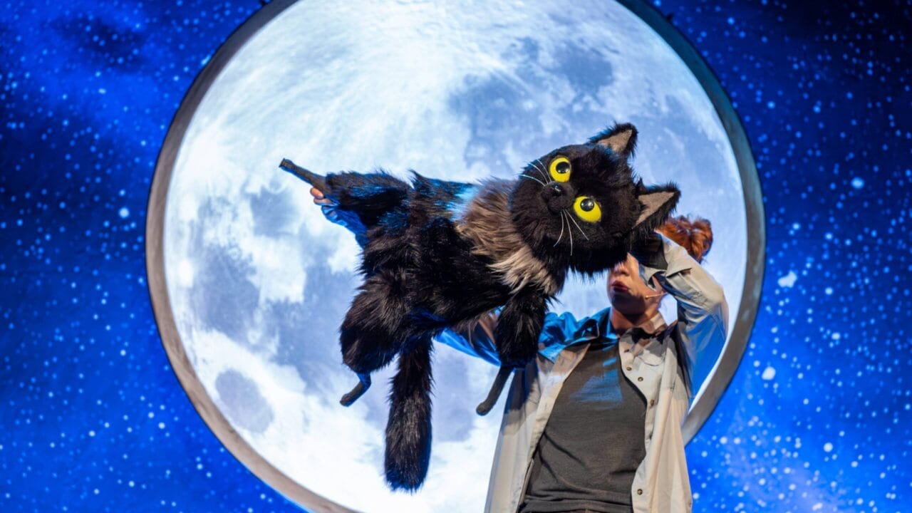 A person holds a large black cat puppet, resembling Toto the Ninja Cat, with yellow eyes in front of a circular backdrop depicting the full moon and a star-filled night sky.