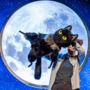A person holds a large black cat puppet, resembling Toto the Ninja Cat, with yellow eyes in front of a circular backdrop depicting the full moon and a star-filled night sky.