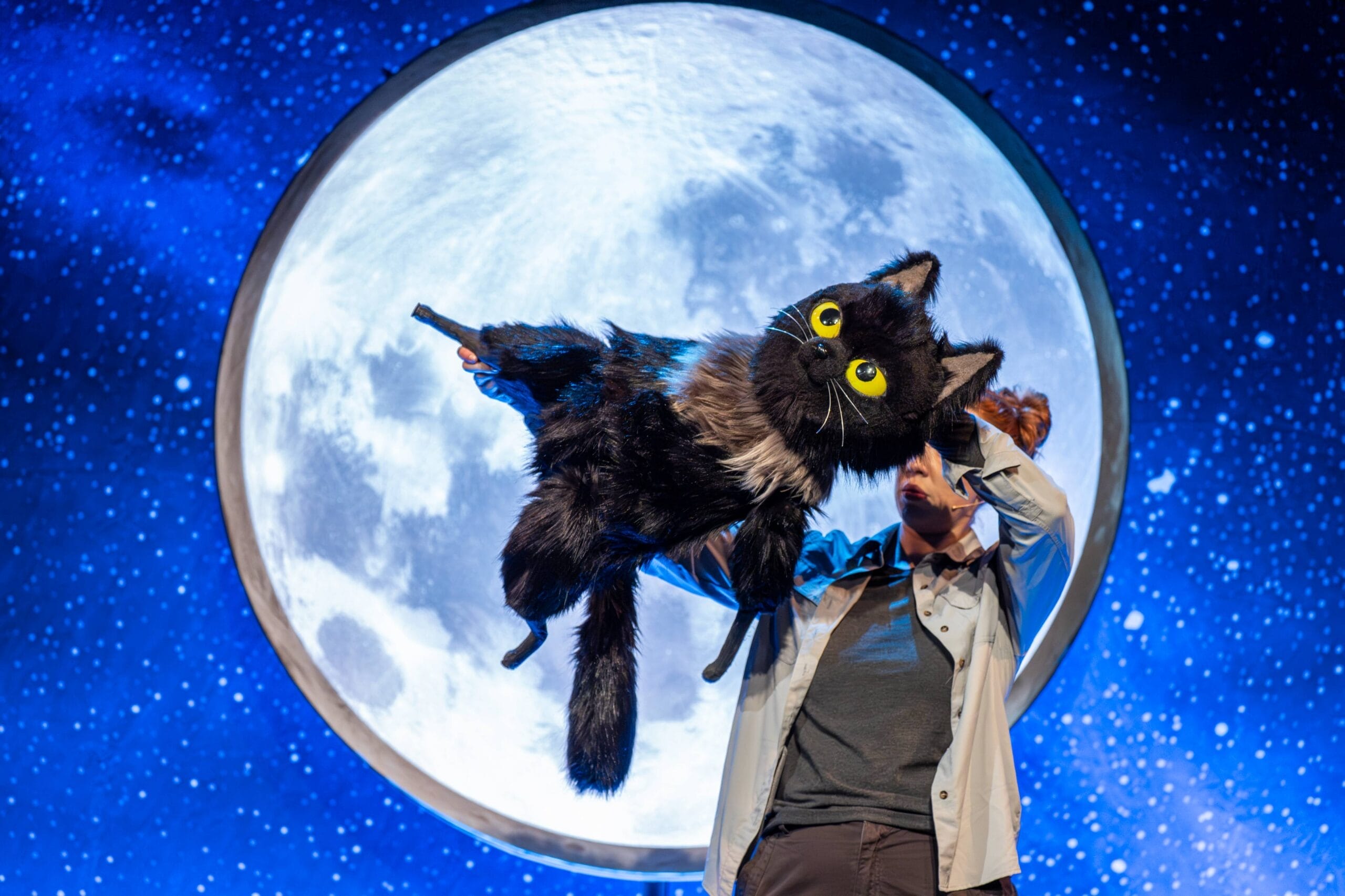 A person holds a large black cat puppet, resembling Toto the Ninja Cat, with yellow eyes in front of a circular backdrop depicting the full moon and a star-filled night sky.