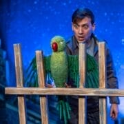 A man stands behind a wooden fence, looking at a large green parrot puppet perched on the fence. The background is blue with a pattern resembling stars or snow, creating a whimsical scene that could delight even Toto the Ninja Cat.